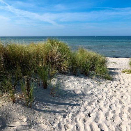 Daenische Ferienhaeuser Am Salzhaff Haus Kaept'N Nemo Insel Poel Buitenkant foto