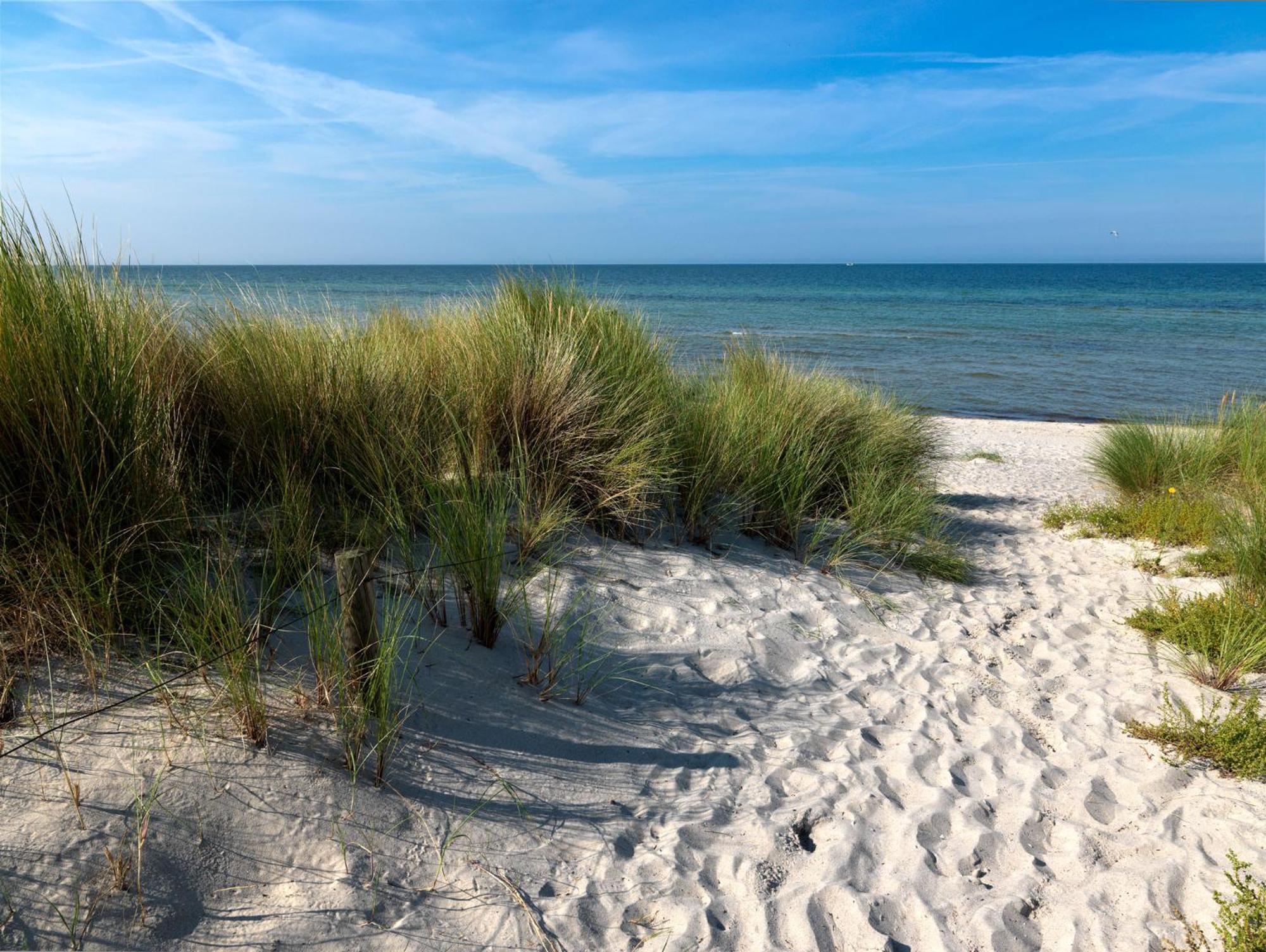 Daenische Ferienhaeuser Am Salzhaff Haus Kaept'N Nemo Insel Poel Buitenkant foto